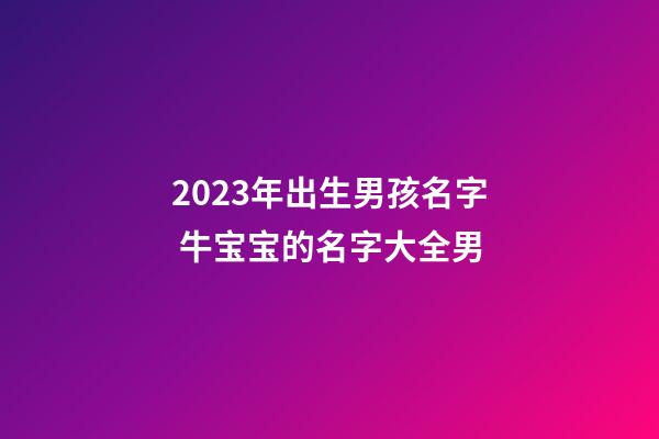 2023年出生男孩名字 牛宝宝的名字大全男